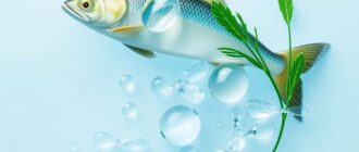 Как принимать омега-3 жирные кислоты: практическое руководство для повседневной жизни