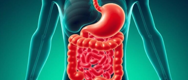 How sports supplements meet your gut: practical science, common problems, and smart solutions