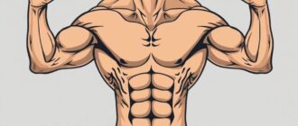 How to build a fuller upper chest: a practical, science-friendly guide