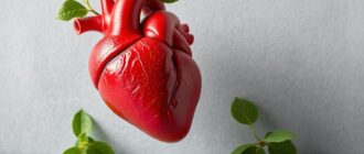 Спортивное питание и сердце: what athletes and coaches need to know